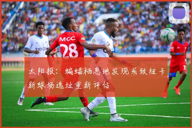 太阳报：蝙蝠栖息地发现或致纽卡新球场选址重新评估