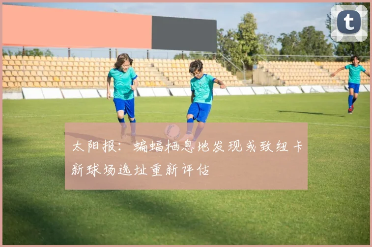 太阳报：蝙蝠栖息地发现或致纽卡新球场选址重新评估